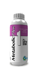מטבוליק פלוס
