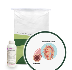 אלקרנט נבסוי